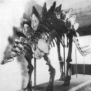 jamie.c profile picture